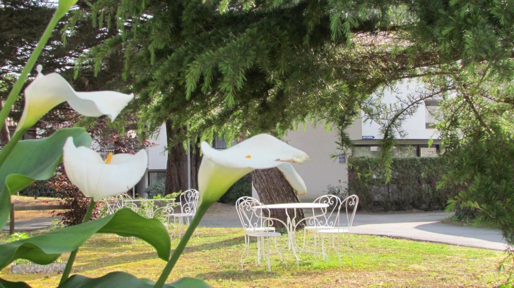 Arc En Ciel Oleron Hotell Saint-Trojan-les-Bains Eksteriør bilde